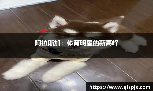 阿拉斯加：体育明星的新高峰